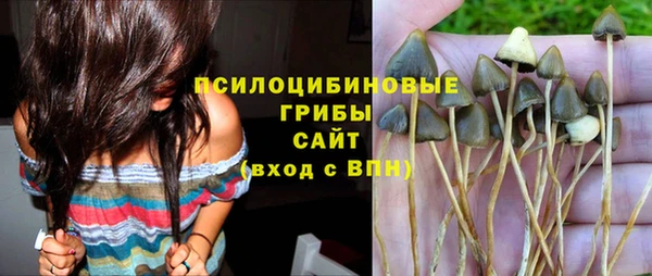 трава Балабаново